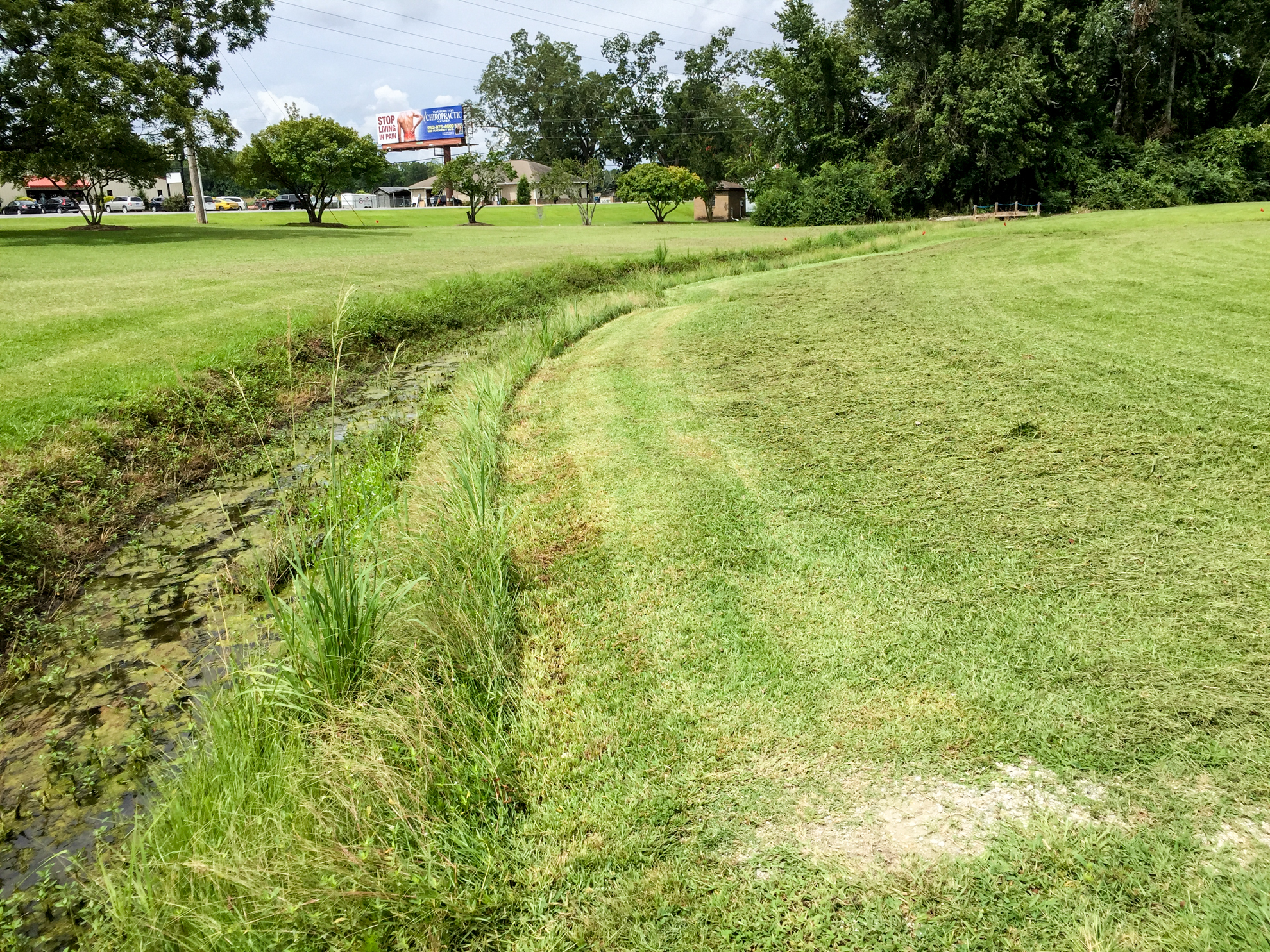 Mowed grass and ditch