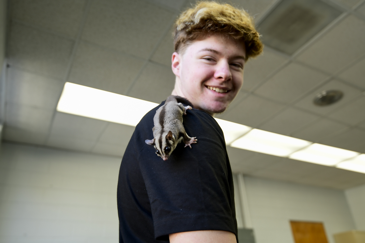 a small mammal on the shoulder of a person