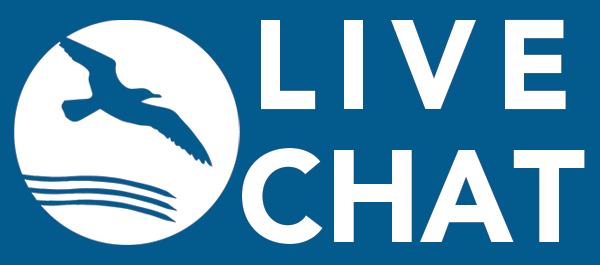logo that reads LIVE CHAT