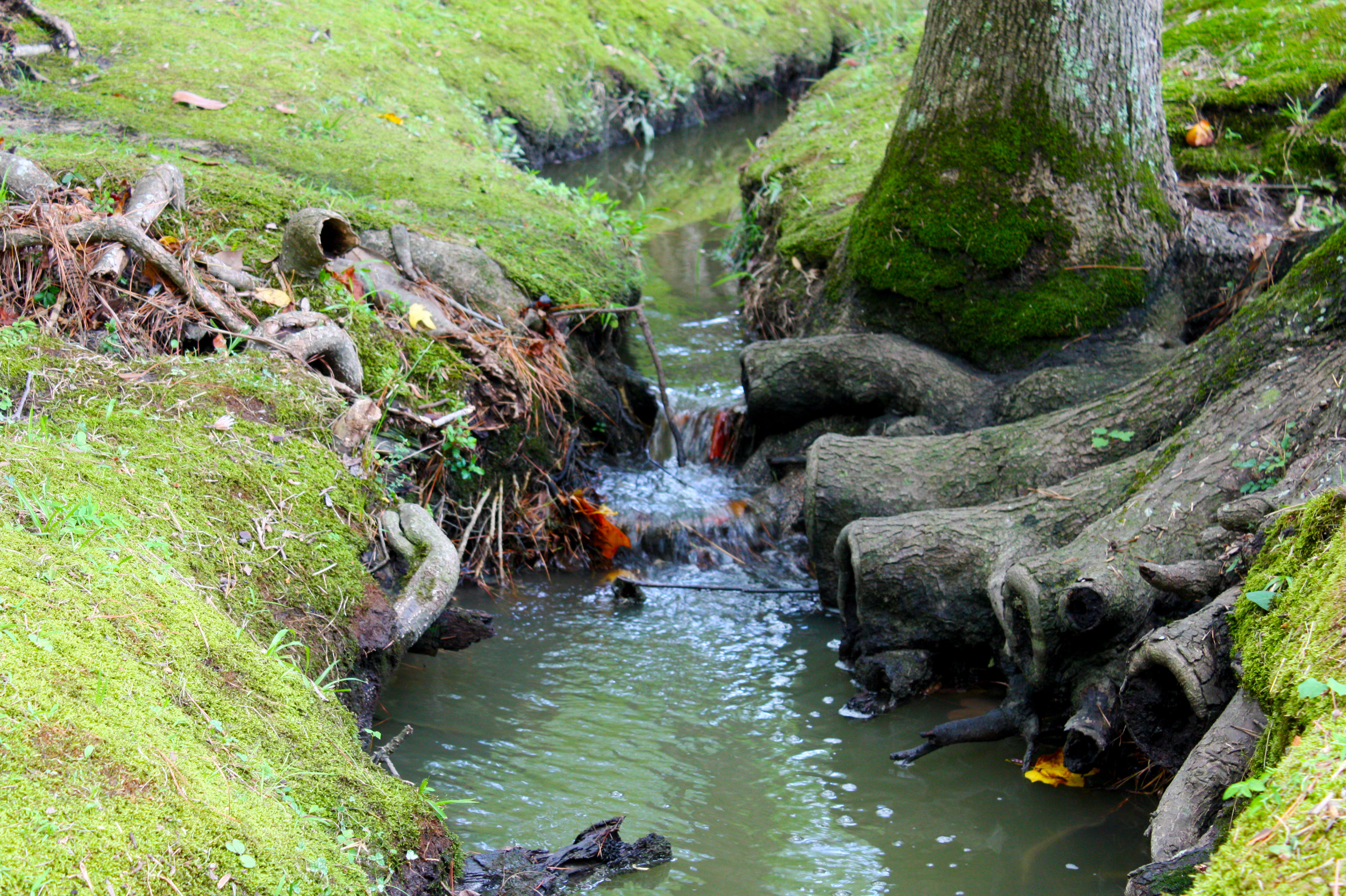 Storm Water