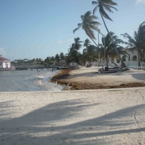 Photo of white sandy beach in Belize, palm trees, pier, small fishing boat on beach.